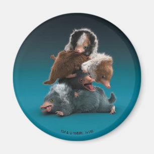Aimant Pile bébé NIFFLER™