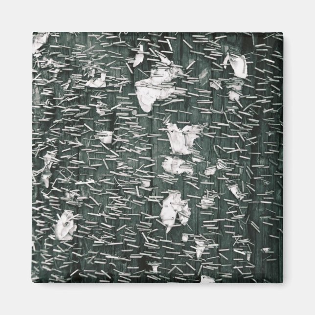 Aimant Piles (Devant)