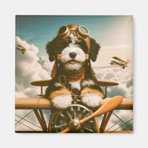 Aimant pilote bernedoodle