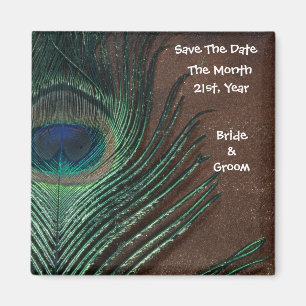 Aimant Piment Peacock avec Brown et or