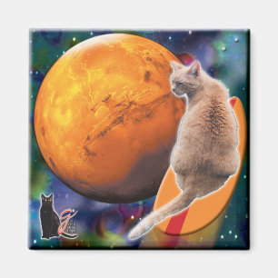 Aimant Piment Star Surfer-Cat