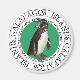 Aimant Pingouin des îles Galapagos