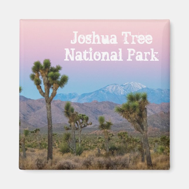 Aimant Pink Blue Joshua Tree National Park Souvenir (Devant)