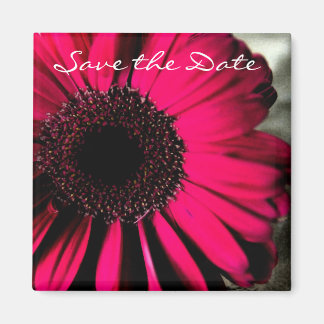 Aimant Pink Daisy Enregistrer l'aimant Date