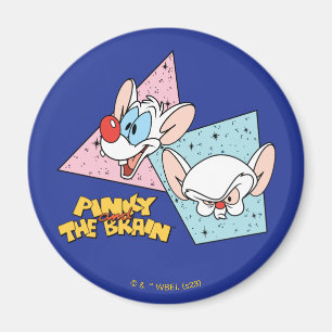 Aimant Pinky et le cerveau   Graphiques de caractères rét
