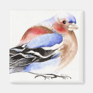 Aimant Pinson coloré 2011