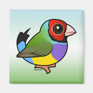 Aimant Pinson de Gouldian