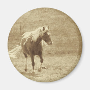Aimant Pinto Pony Sepia