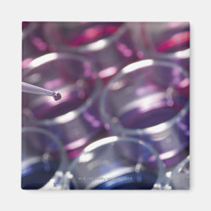 Aimant Pipette et boîtes de Pétri avec des fluides