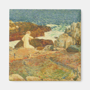 Aimant Piscine est de promontoire