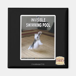 Aimant Piscine invisible