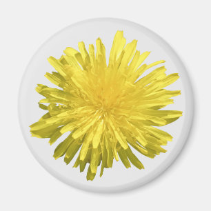 Aimant Pissenlit Jaune