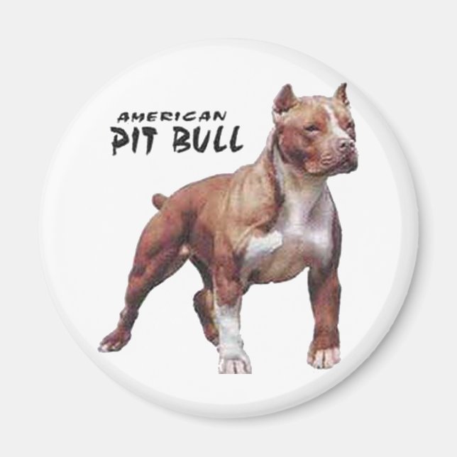 Aimant Pitbull (Devant)