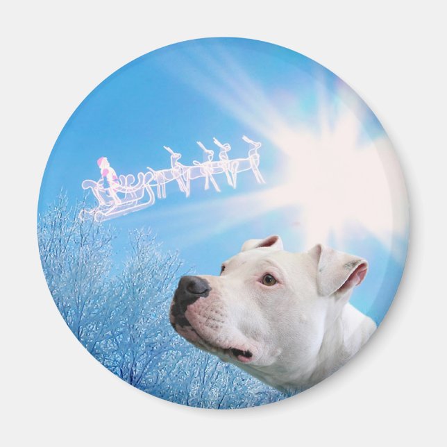 Aimant PItbull Chien blanc souhait Noël (Devant)