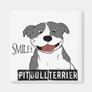 Aimant Pitbull de sourire (bleu et blanc)