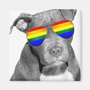 Aimant Pitbull Gay pride Chien Vêtements LGBT Drôle Rai C