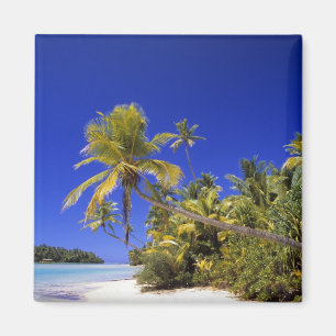 Aimant Plage bordée de palmiers Cook Islands 7