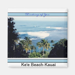 Aimant Plage d'Aimant-Ke'e, le rivage du nord de Kauai