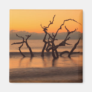 Aimant Plage de bois flotté au lever du soleil, île de Je