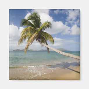 Aimant Plage de Coconut Grove à Cades Bay, avec St.