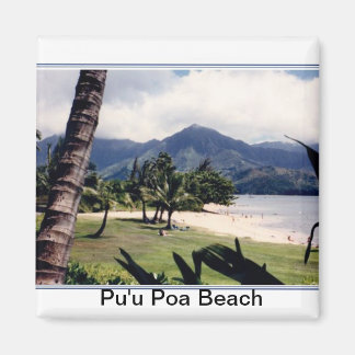 Aimant Plage de Magnet-Pu'u Poa