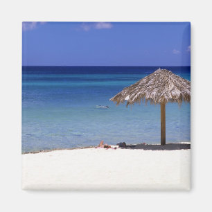 Aimant Plage de Malmok, Aruba, Antilles néerlandaises
