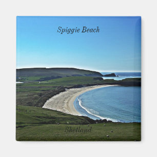 Aimant Plage de Spiggie, Shetland