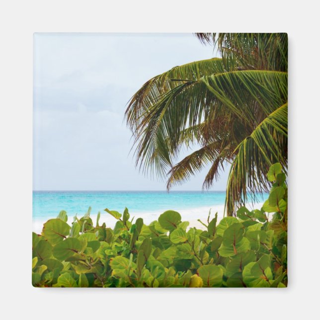 AIMANT PLAGE DES CARAÏBES - BARBADOS (Devant)