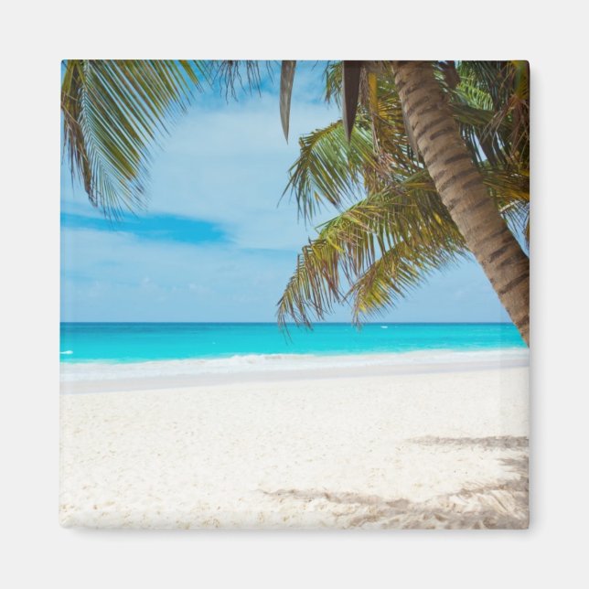 Aimant Plage tropicale Turquoise (Devant)