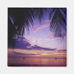 Aimant Plages à Negril, Jamaïque 2