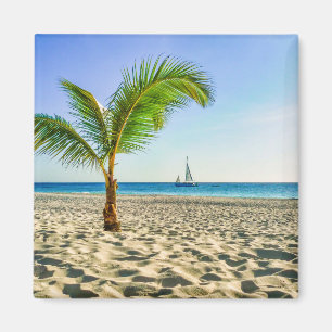 Aimant Plages tropicales Bateau, Palmier, Aruba