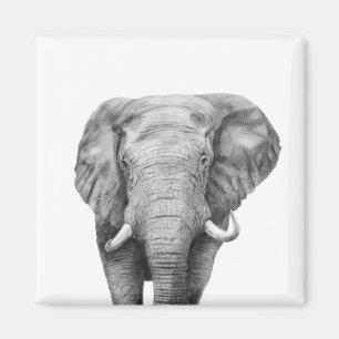 Aimant Plan de sauvegarde IV