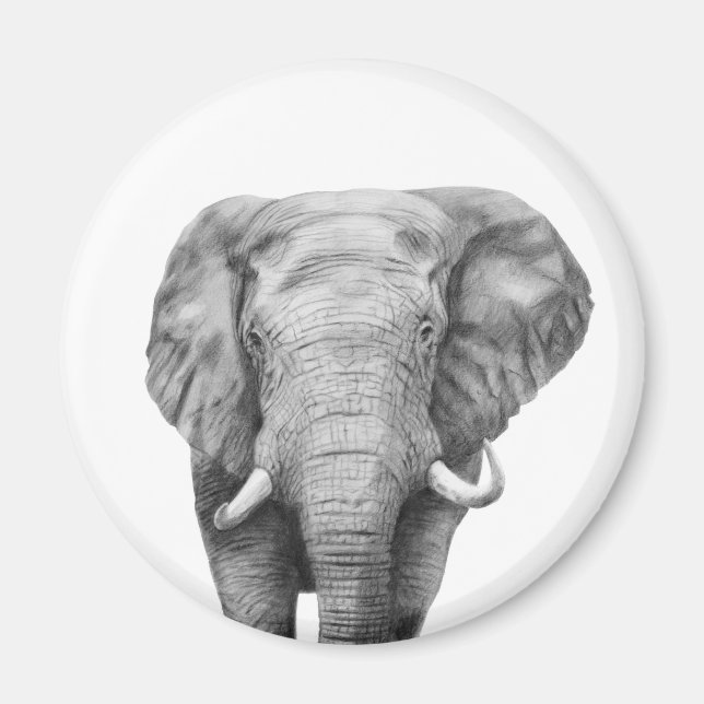 Aimant Plan de sauvegarde IV (Devant)