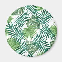 Plant Tropical Botanical Palm Leaf
