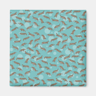 Aimant Plate-forme Natation