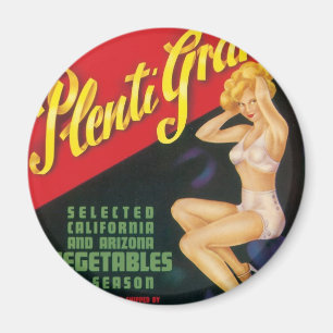 Aimant Plenti Grand