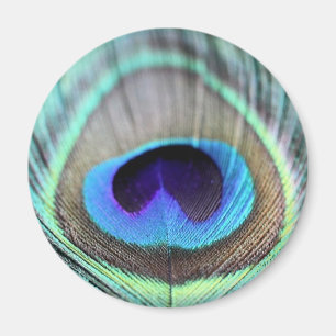 Aimant Plume de paon