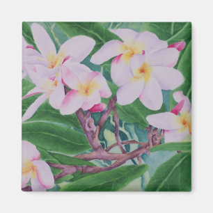 Aimant Plumeria