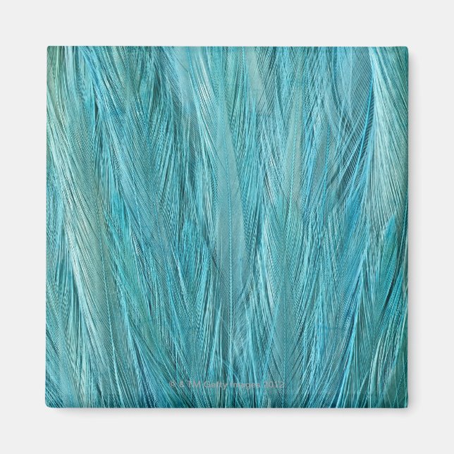 Aimant Plumes bleues (Devant)