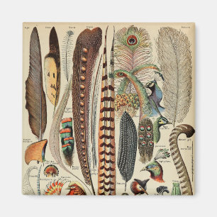 Aimant Plumes d'oiseaux sauvages Antique