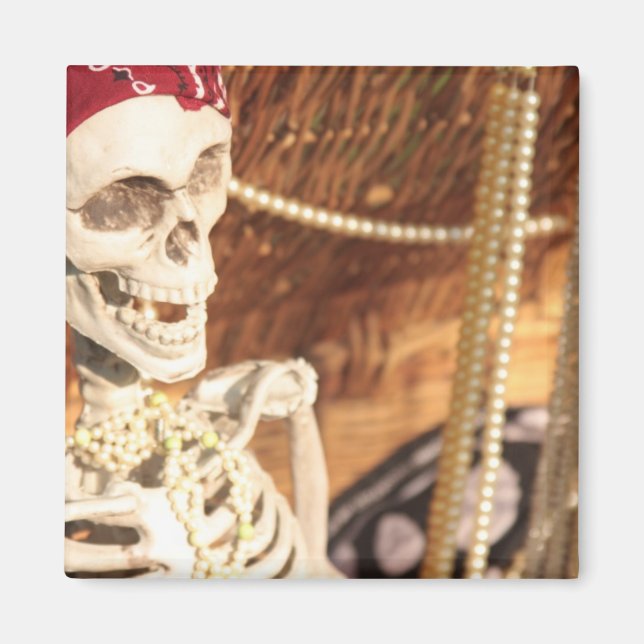 Aimant Plunder Party ! (Devant)