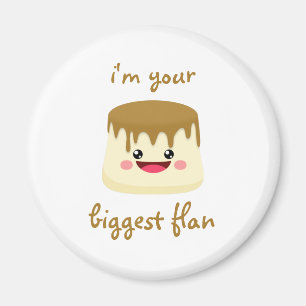 Aimant plus grand volet