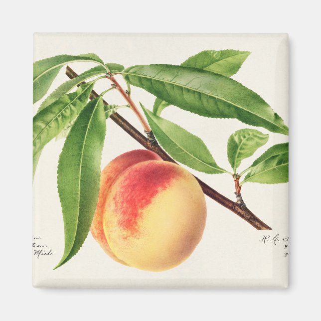 Aimant Poche (Devant)