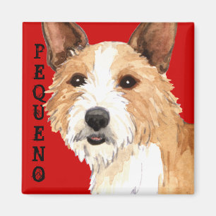 Aimant Podengo Pequeno