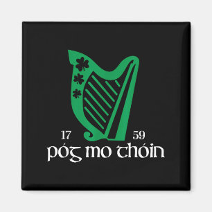 Aimant Póg Mo Thóin Irlande Drôle Chanceux Vert Irlandais