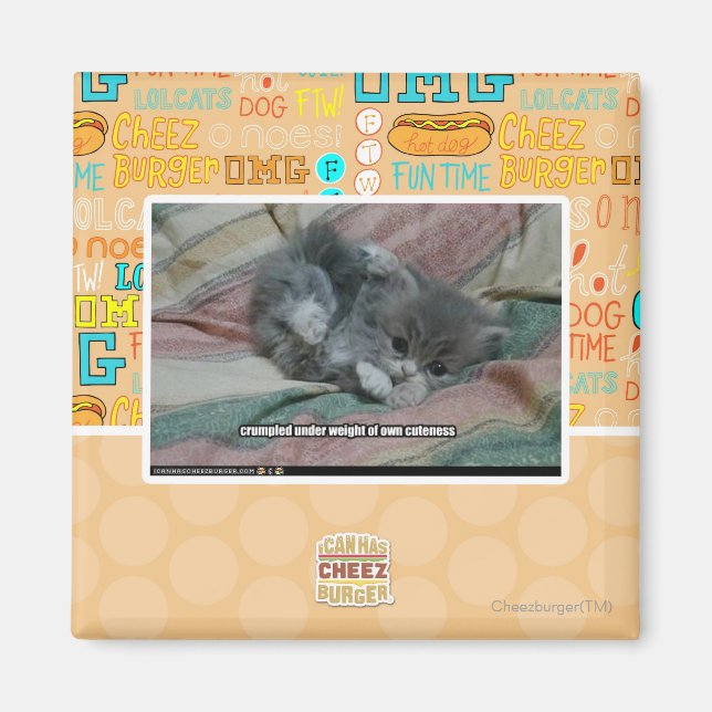 Aimant Poids propre (Devant)