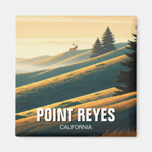 Aimant Point Reyes National Seashore Elk