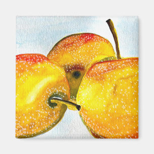 Aimant Poires Nashi jaune aquarelle fruit