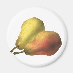 Aimant Poires vintages, Aliments Bio, Fruits Ripe