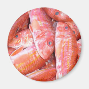 Aimant Poisson